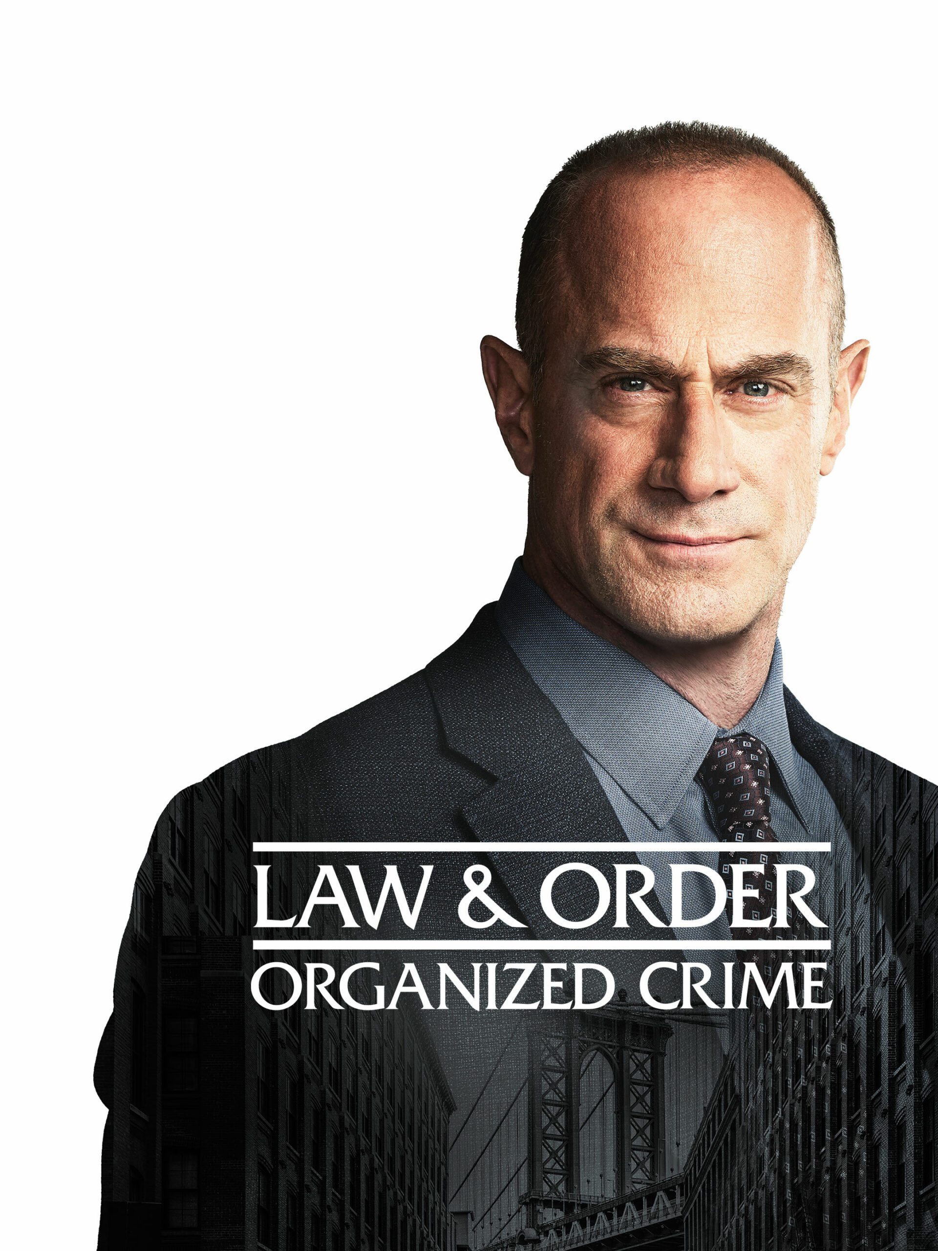 Law & Order: Organized Crime teaser image